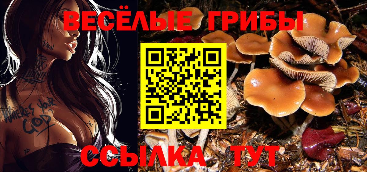 Чехов  Псилоцибиновые грибы ЛСД  Вход с VPN  Галлюциногенные грибы прущие грибы 