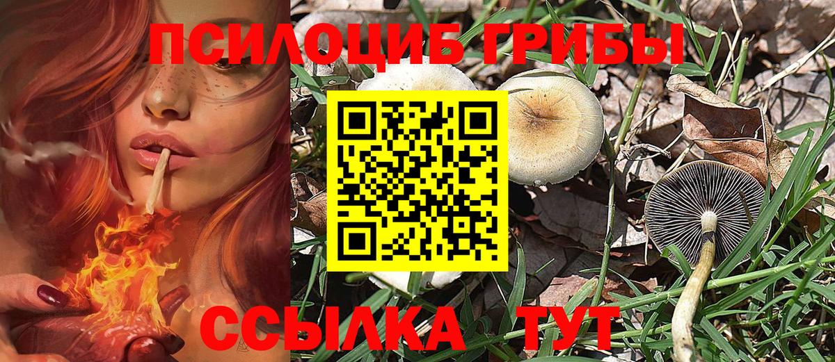 Галлюциногенные грибы ЛСД Чехов